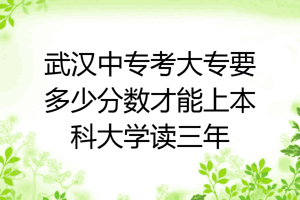 武汉中专考大专要多少分数才能上本科大学读三年