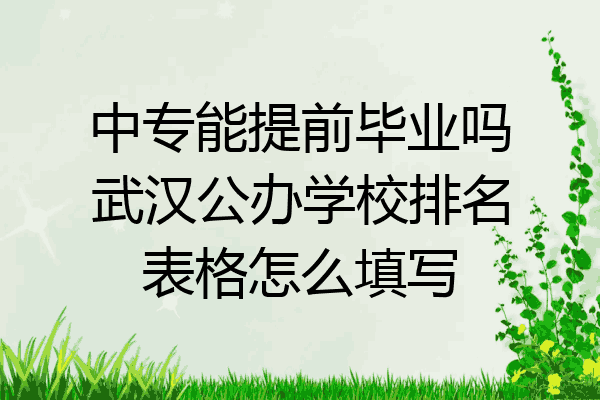 中专能提前毕业吗武汉公办学校排名表格怎么填写