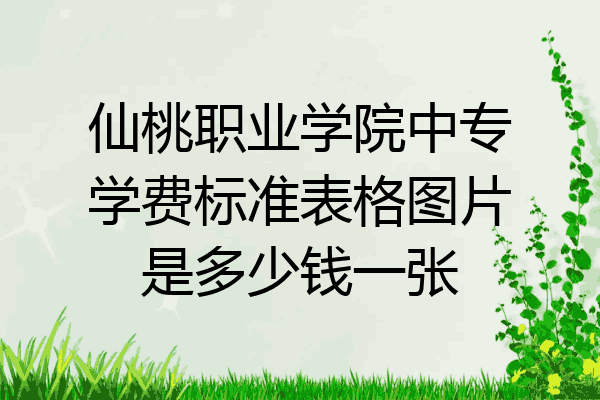 仙桃职业学院中专学费标准表格图片是多少钱一张