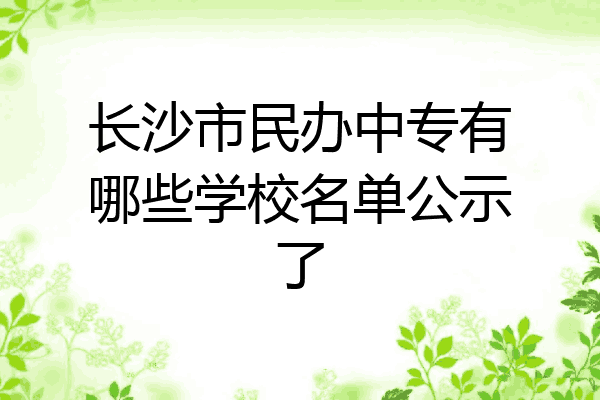 长沙市民办中专有哪些学校名单公示了