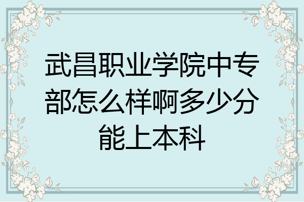 武昌职业学院中专部怎么样啊多少分能上本科