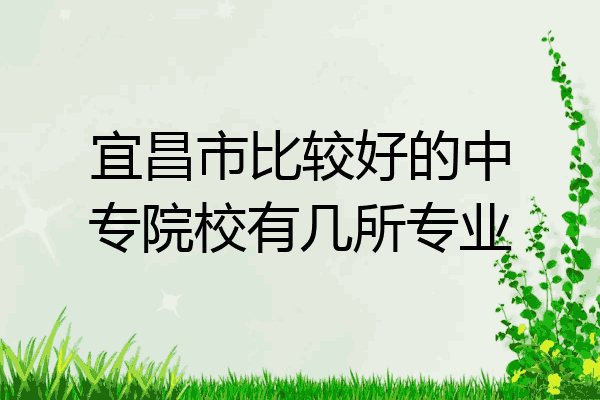 宜昌市比较好的中专院校有几所专业