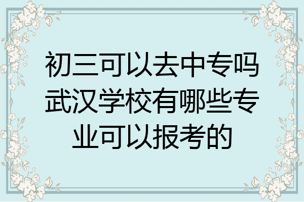初三可以去中专吗武汉学校有哪些专业可以报考的