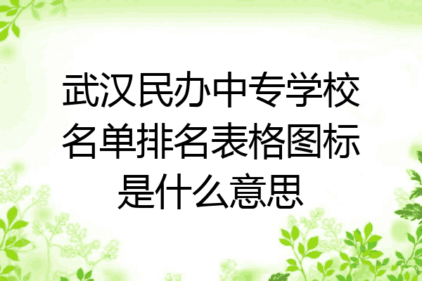 武汉民办中专学校名单排名表格图标是什么意思