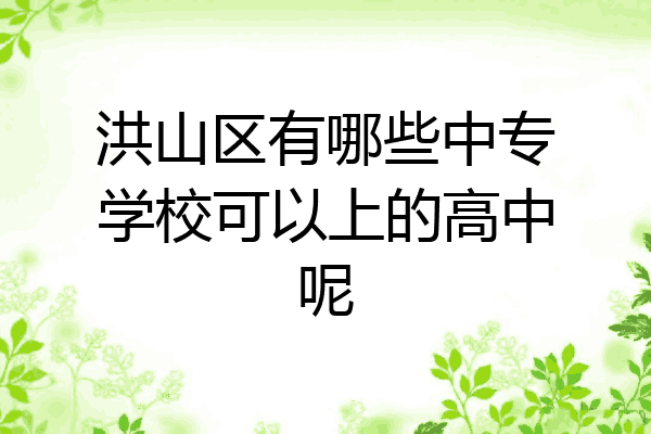 洪山区有哪些中专学校可以上的高中呢