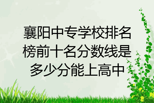 襄阳中专学校排名榜前十名分数线是多少分能上高中