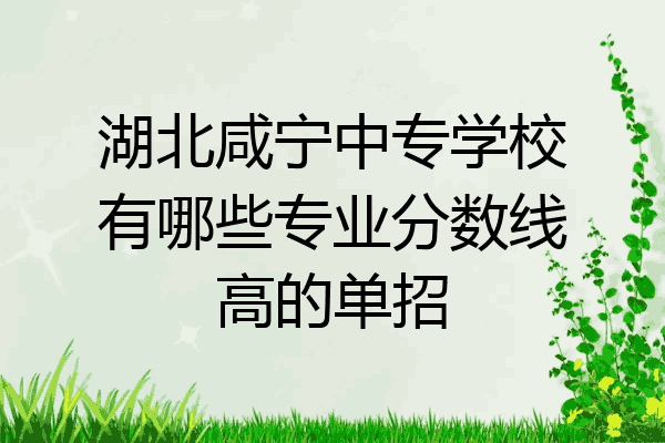 湖北咸宁中专学校有哪些专业分数线高的单招