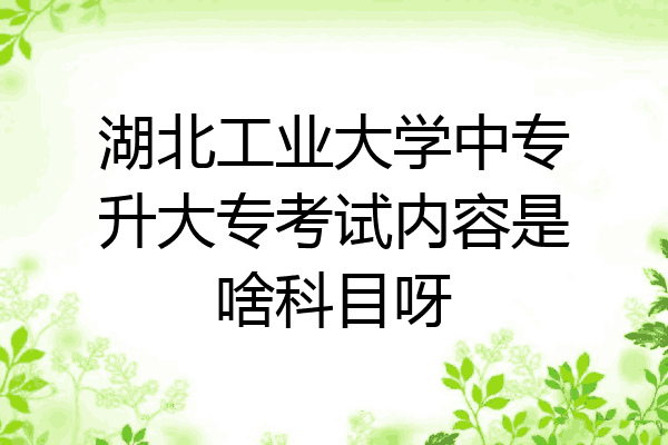 湖北工业大学中专升大专考试内容是啥科目呀