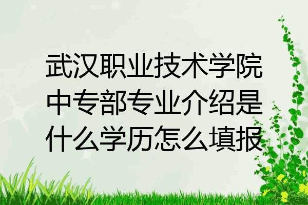 武汉职业技术学院中专部专业介绍是什么学历怎么填报