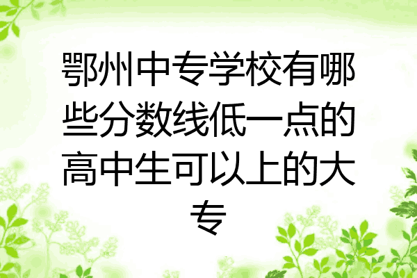 鄂州中专学校有哪些分数线低一点的高中生可以上的大专