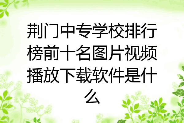 荆门中专学校排行榜前十名图片视频播放下载软件是什么