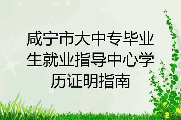 咸宁市大中专毕业生就业指导中心学历证明指南