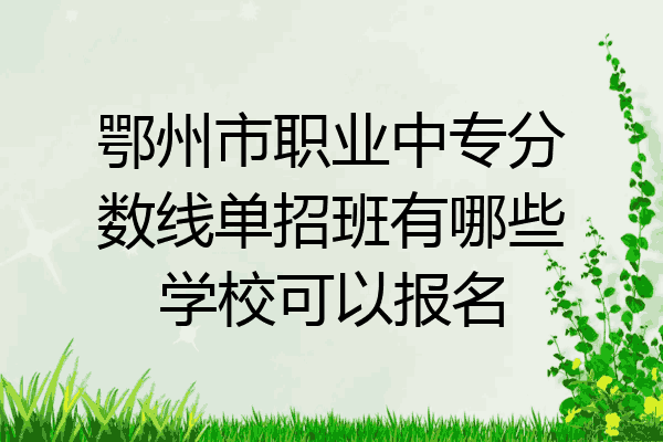 鄂州市职业中专分数线单招班有哪些学校可以报名