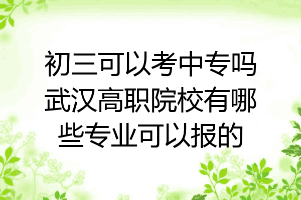 初三可以考中专吗武汉高职院校有哪些专业可以报的