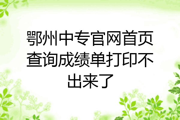 鄂州中专官网首页查询成绩单打印不出来了