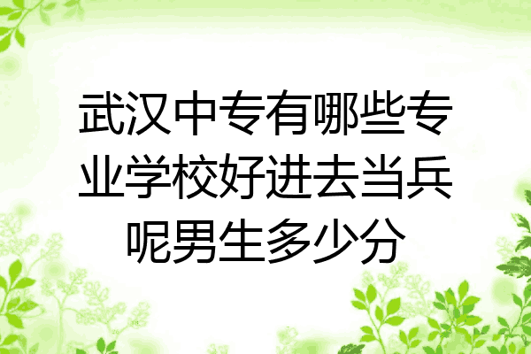武汉中专有哪些专业学校好进去当兵呢男生多少分