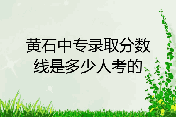 黄石中专录取分数线是多少人考的