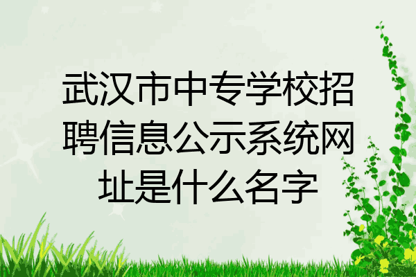 武汉市中专学校招聘信息公示系统网址是什么名字