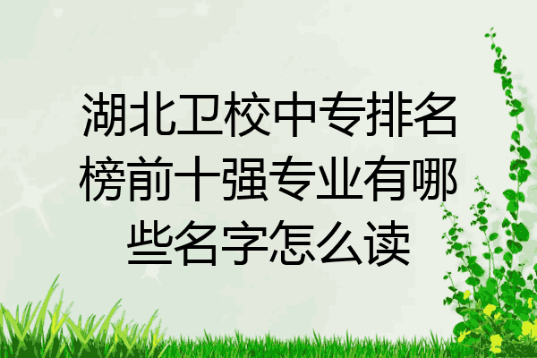 湖北卫校中专排名榜前十强专业有哪些名字怎么读
