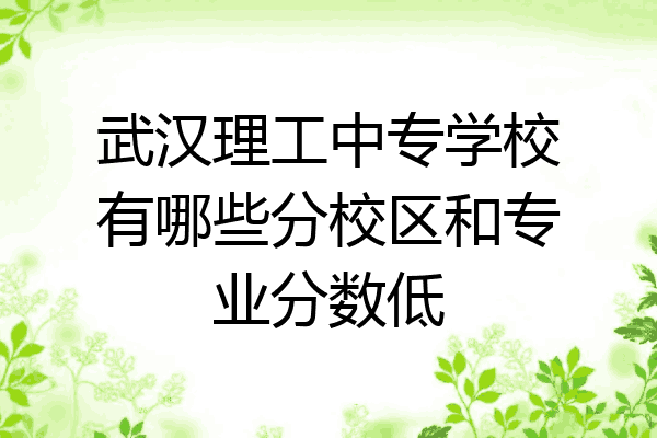 武汉理工中专学校有哪些分校区和专业分数低