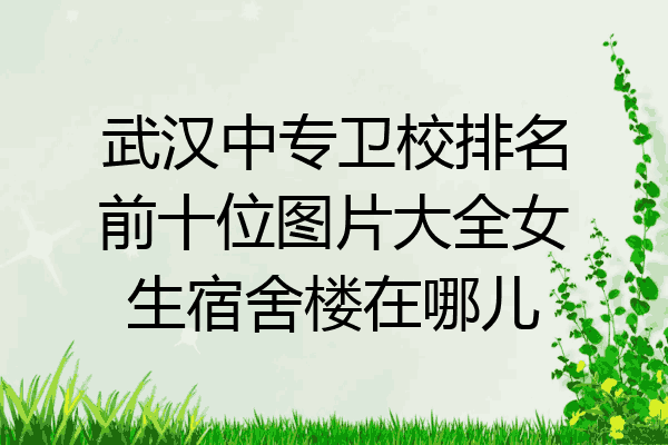 武汉中专卫校排名前十位图片大全女生宿舍楼在哪儿