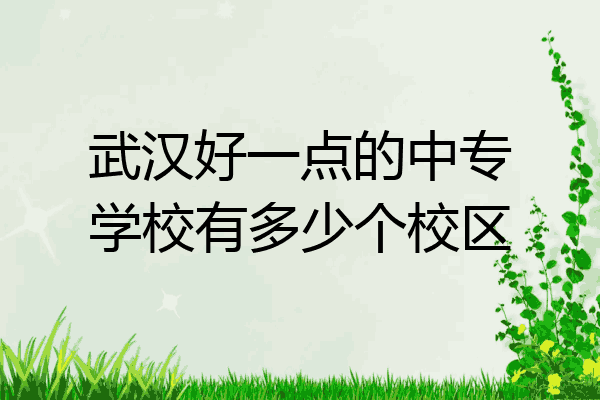 武汉好一点的中专学校有多少个校区