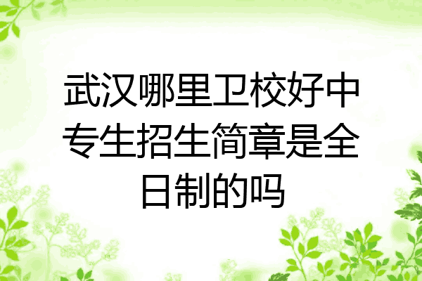 武汉哪里卫校好中专生招生简章是全日制的吗