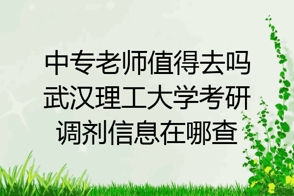 中专老师值得去吗武汉理工大学考研调剂信息在哪查