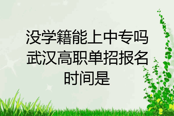 没学籍能上中专吗武汉高职单招报名时间是