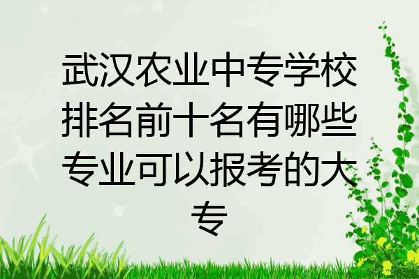 武汉农业中专学校排名前十名有哪些专业可以报考的大专