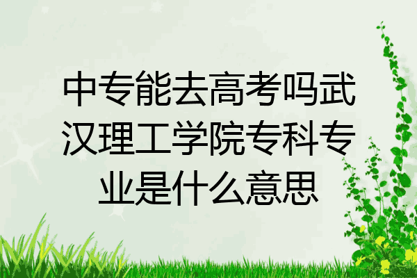 中专能去高考吗武汉理工学院专科专业是什么意思