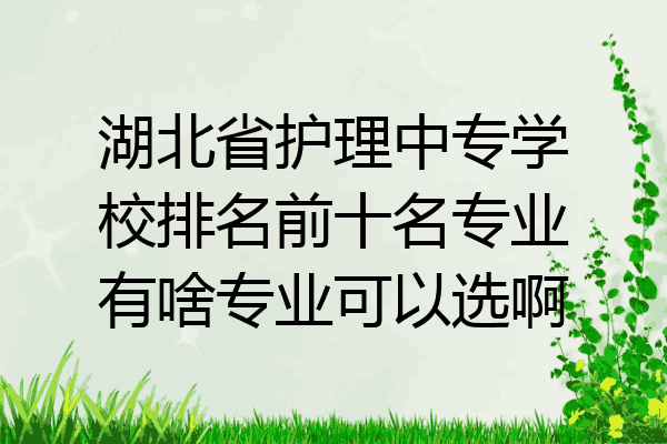 湖北省护理中专学校排名前十名专业有啥专业可以选啊