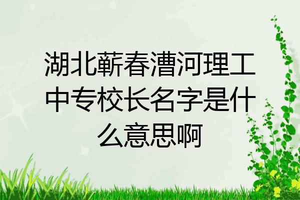 湖北蕲春漕河理工中专校长名字是什么意思啊