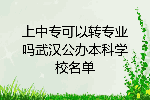 上中专可以转专业吗武汉公办本科学校名单