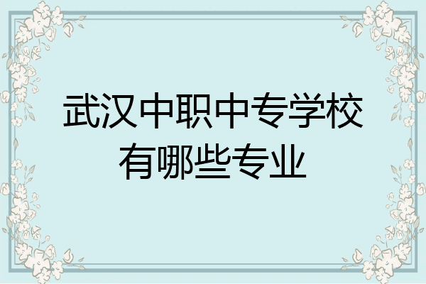 武汉中职中专学校有哪些专业