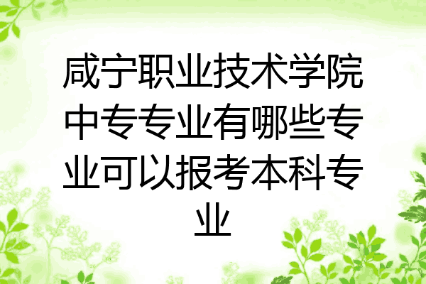 咸宁职业技术学院中专专业有哪些专业可以报考本科专业