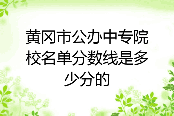 黄冈市公办中专院校名单分数线是多少分的