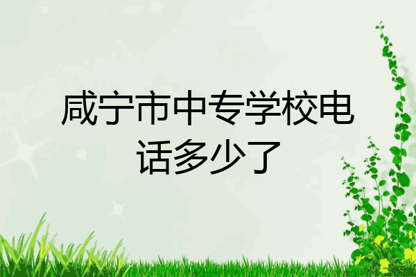 咸宁市中专学校电话多少了