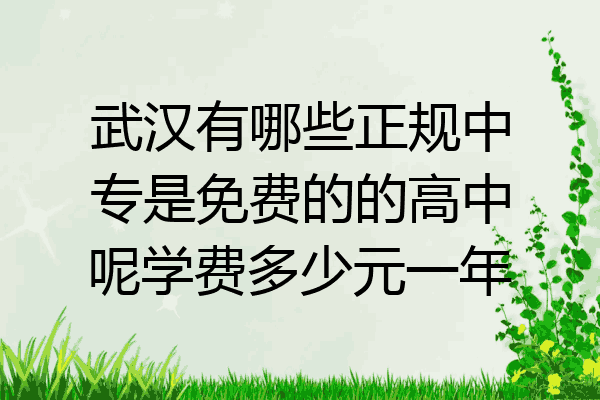 武汉有哪些正规中专是免费的的高中呢学费多少元一年