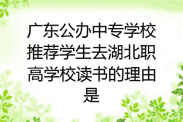 广东公办中专学校推荐学生去湖北职高学校读书的理由是