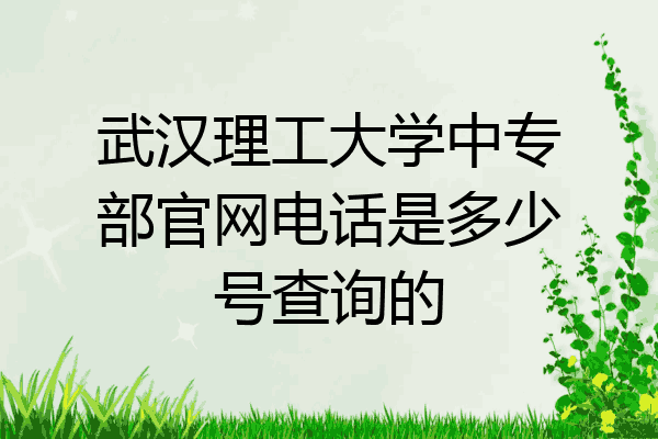 武汉理工大学中专部官网电话是多少号查询的