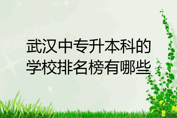 武汉中专升本科的学校排名榜有哪些