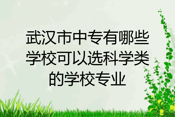 武汉市中专有哪些学校可以选科学类的学校专业