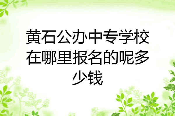 黄石公办中专学校在哪里报名的呢多少钱