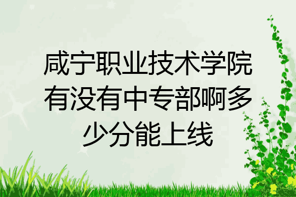 咸宁职业技术学院有没有中专部啊多少分能上线