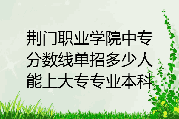 荆门职业学院中专分数线单招多少人能上大专专业本科