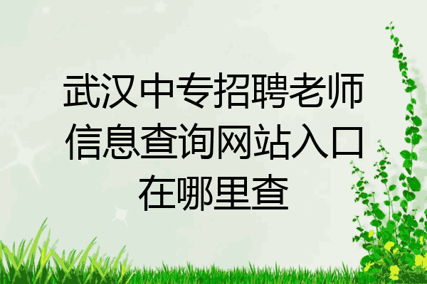 武汉中专招聘老师信息查询网站入口在哪里查