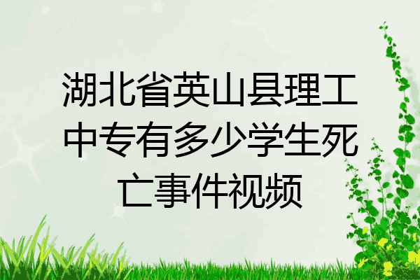 湖北省英山县理工中专有多少学生死亡事件视频