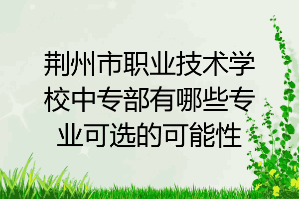 荆州市职业技术学校中专部有哪些专业可选的可能性