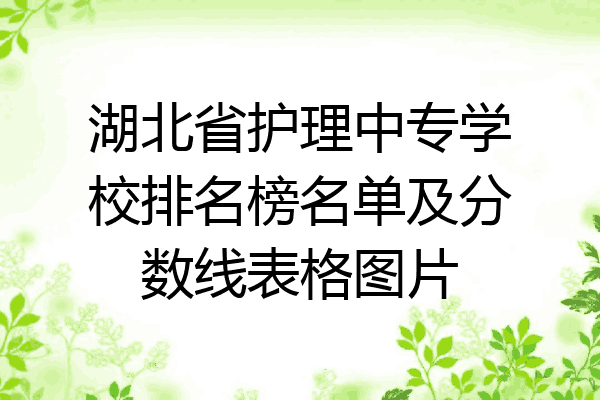 湖北省护理中专学校排名榜名单及分数线表格图片